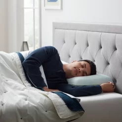 Standard Scented Aromatherapy Bed Pillow Eucalyptus Mint - Lucid Essence -Home Series Shop GUEST 024070a5 2008 4dd7 9f3b 6d5492aee827