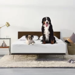 Machine Washable Waterproof Mattress Protector - Tuft & Needle -Home Series Shop GUEST 19827f0d 28d0 4c0e 9286 47ed33bcccd0