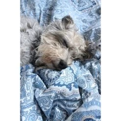 Eddie Bauer City Scene Milan Duvet Set -Home Series Shop GUEST 1d6c872a 387d 4758 8afb 607cd5a11e34