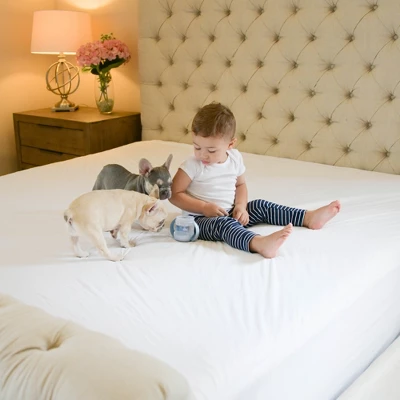 SafeRest Waterproof Mattress Protector - Premium Mattress Cover With Soft Cotton Terry Surface - Noiseless Protection 2 SafeRest Waterproof Mattress Protector - Premium Mattress Cover With Soft Cotton Terry Surface - Noiseless Protection - Image 2