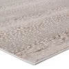 Axis Animal Area Rug Light Gray/Brown - Jaipur Living