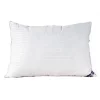 2pk Microgel Cotton Bed Pillow - NearlyDown