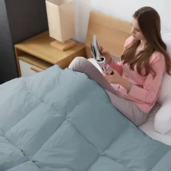 Cheer Collection Down Alternative Hypoallergenic Comforter
