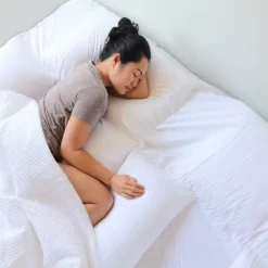 Suite Collection Replacement Pillow Insert - PillowSheets 14 Suite Collection Replacement Pillow Insert - PillowSheets -Home Series Shop GUEST 44d82ce7 c81a 4634 a91b e5b4f26732a3