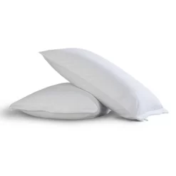 2pk Easy Care Pillow Protector With Bed Bug Blocker - Fresh Ideas -Home Series Shop GUEST 53dae355 f078 4586 8777 4de6d1b3c201