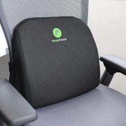 ErgoFoam Lumbar Support Pillow For Chair - Premium Breathable Mesh Back Support For Office Chair - Most Comfortable Lumbar Cushion -Home Series Shop GUEST 791600db 134d 4158 8546 d8e632c071b2