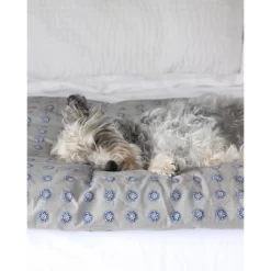 Eddie Bauer City Scene Milan Duvet Set -Home Series Shop GUEST 838fc5a1 fc4a 401a b146 5fd42db80138