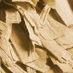 Paper Shag Cotton/Poly Blend Bath Mat Sage 21in X 34in Sage By Carnation Home Fashions 2 Paper Shag Cotton/Poly Blend Bath Mat Sage 21in X 34in Sage By Carnation Home Fashions - Image 2