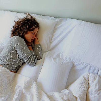 Suite Collection Replacement Pillow Insert - PillowSheets 7 Suite Collection Replacement Pillow Insert - PillowSheets - Image 7