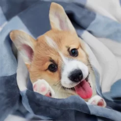 New Products -Home Series Shop GUEST a78fc1c7 f84b 4093 9394 14de89ee013c