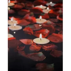 Northlight White And Red Rose Petal LED Flickering Canvas Wall Art 15.75" X 11.75" -Home Series Shop GUEST c183c6de 2486 4b2f b410 daf7d53df8b4