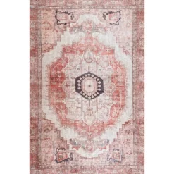 NuLOOM Vintage Minna Area Rug -Home Series Shop GUEST cf67cde2 17db 4a68 873c e61d000994b4
