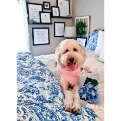 Blue Brooke Comforter Set - POPPY & FRITZ® -Home Series Shop GUEST db3e5b3e 2082 423d 90c7 c1c283b0c225