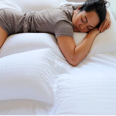 Suite Collection Replacement Pillow Insert - PillowSheets 5 Suite Collection Replacement Pillow Insert - PillowSheets - Image 5