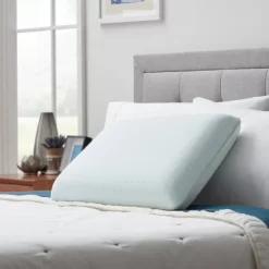 Standard Scented Aromatherapy Bed Pillow Eucalyptus Mint - Lucid Essence -Home Series Shop GUEST f4b308df 24f0 4d75 b69d 6a2a4281fa6c