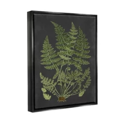 Stupell Industries Botanical Drawing Green Black Design -Home Series Shop GUEST f50d8588 dd83 4fd7 9f42 adf7c14cdf84