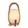 15" Organic Contemporary Natural Wood Accented Table Desk Lamp With Translucent Glass Shade - Lalia Home